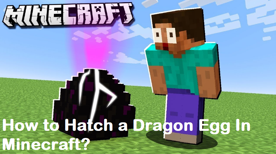 How to Hatch a Dragon Egg In Minecraft