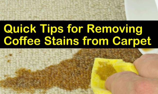 How to Get Coffee Stains Out of Carpet