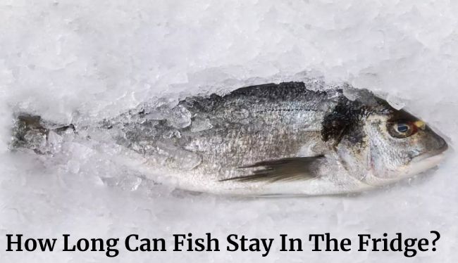 How Long Can Fish Stay In The Fridge